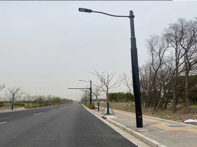仙居县上海综合杆 太阳能路灯工程